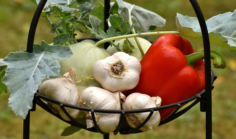 Vegetarian Delights